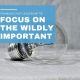 Focus On The Wildly Important